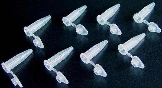 0.2ml Micro-Centrifuge Tube with High Quality gallery image 1