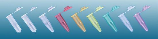 0.2ml Micro-Centrifuge Tube with High Quality