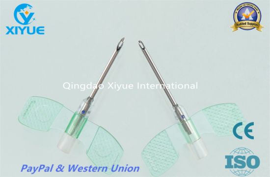 a. V. Fistula Needle with High Quality gallery image 2