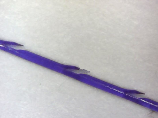 China Wholesale Pdo Cog Lifting Thread with High Quality gallery image 1