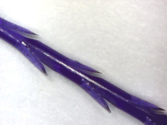 China Wholesale Pdo Cog Lifting Thread with High Quality