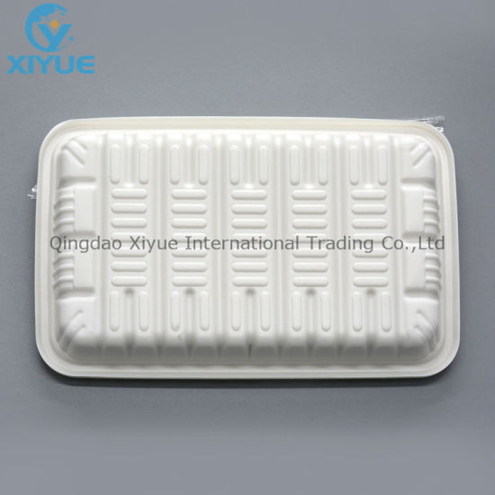Disposable Dental Autoclavable Plastic PP Tray for Medical Instruments
