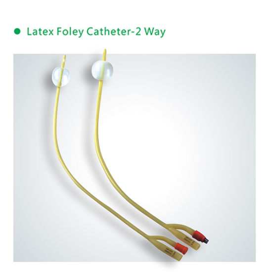 Disposable Foley Catheter with High Quality