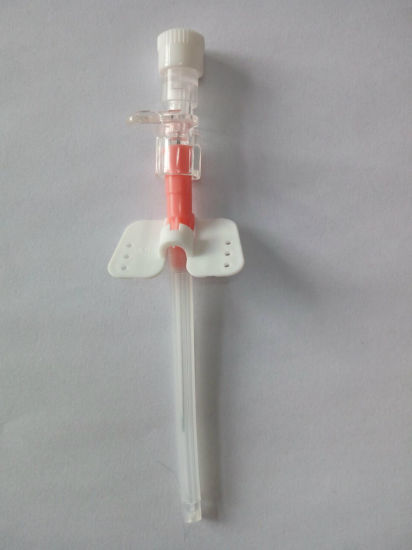 Disposable Medical Sterile IV Cannula Intravenous Catheter with Wing 20g