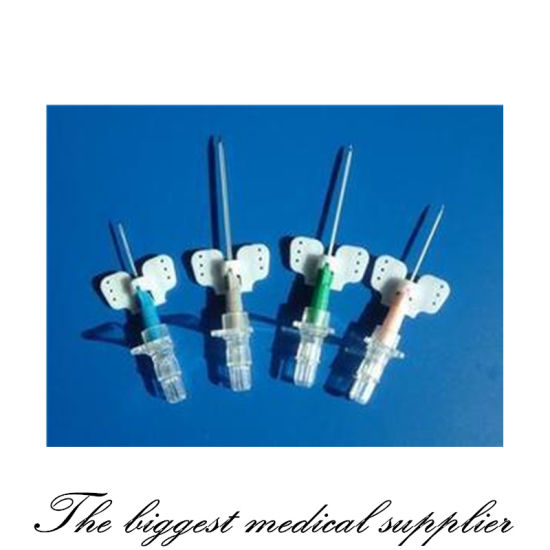 Disposable Medical Sterile IV Cannula Intravenous Catheter with Wing