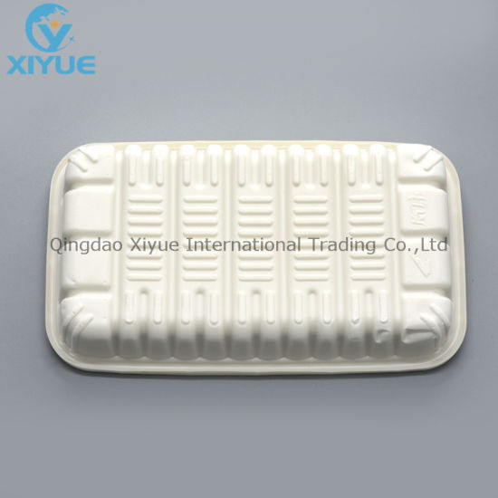Disposable Oral Autoclavable Plastic Tray for Medical Instruments gallery image 1