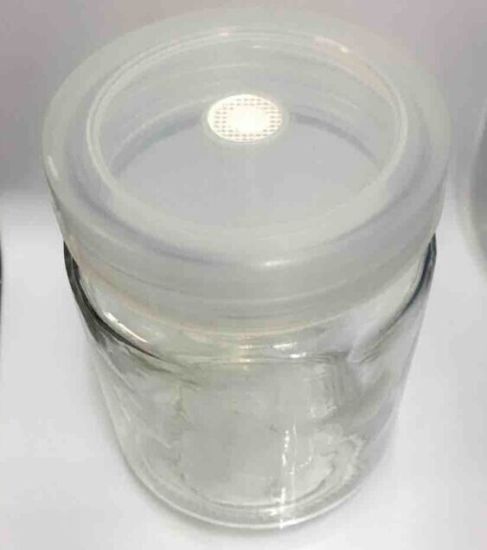 Disposable Sterile Tissue Culture Vessels gallery image 2