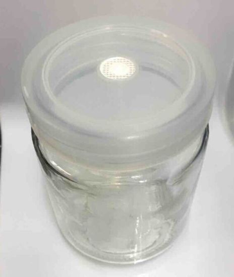 Disposable Sterile Tissue Culture Vessels