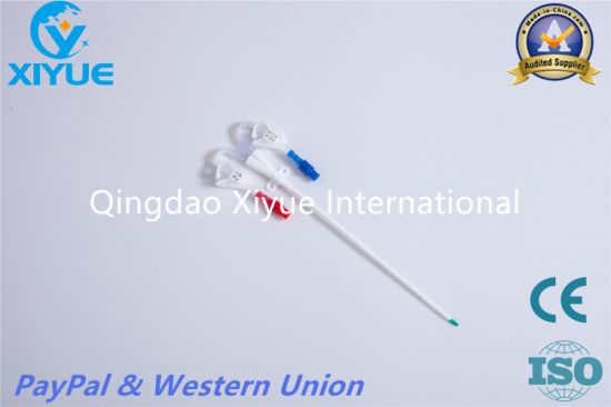 Hemodialysis Catheter Kits/Dialysis Catheter Kits/ Dialysis Catheter