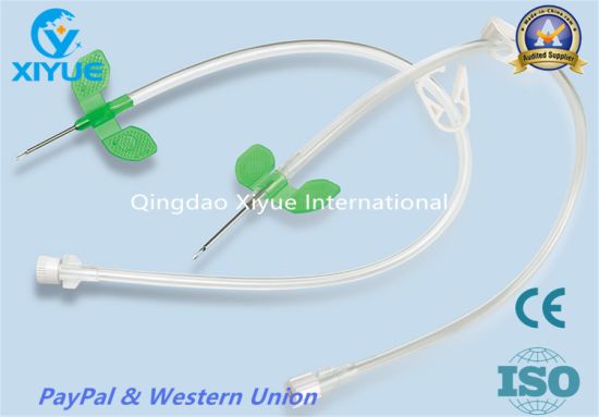 High Quality AV Fistula Needles/ Fistula Needle/ Dialysis Needle gallery image 5