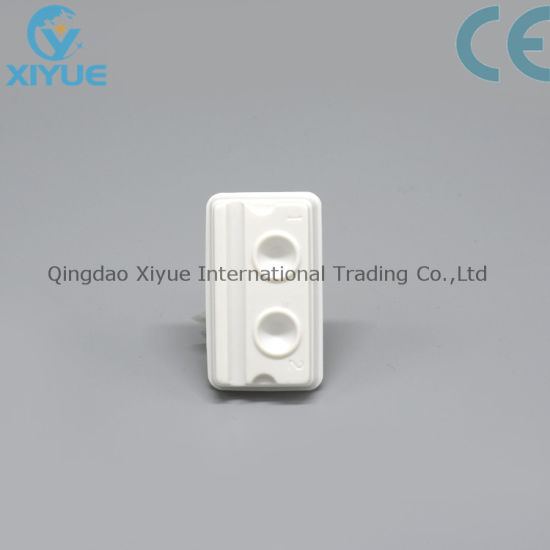 Medical Disposable Consumables Dental Mixing Well with 2 Wells/Holes gallery image 1