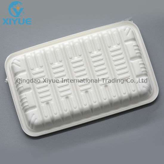 Medical Products Disposable Oral Plastic PP Care Tray Products gallery image 2