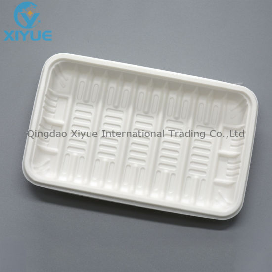 Medical Products Disposable Oral Plastic PP Care Tray Products gallery image 3