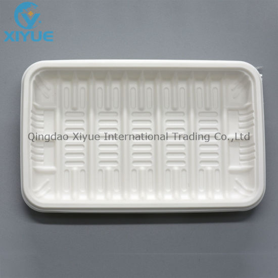 Medical Products Disposable Oral Plastic PP Care Tray Products