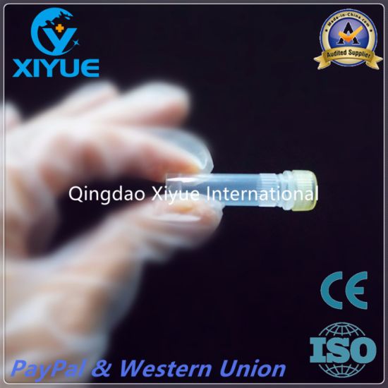 Medical Supply Micro Blood Collection Tube PP 0.5ml gallery image 1