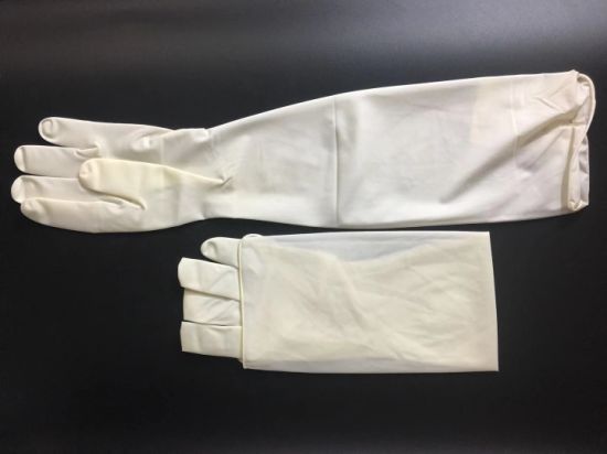 Medical Surgical Gynaecological Rubber Latex Pre-Powder Nonpowder Gloves Glove gallery image 1