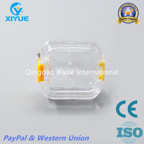 Membrance Denture Box with High Quality gallery image 3