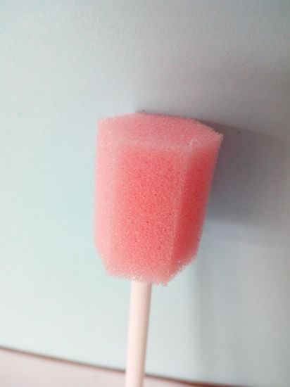 Sterile Sponge Brush gallery image 1