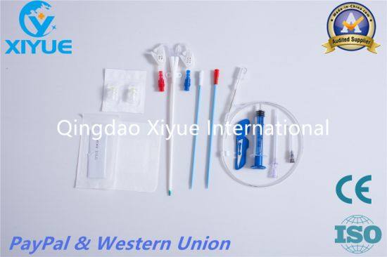 Blood Purification Series Hemodialysis Catheter with High Quality