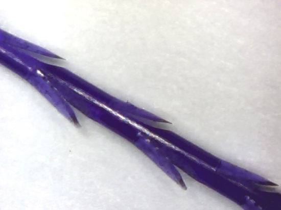 China Wholesale Pdo Cog Lifting Thread with High Quality