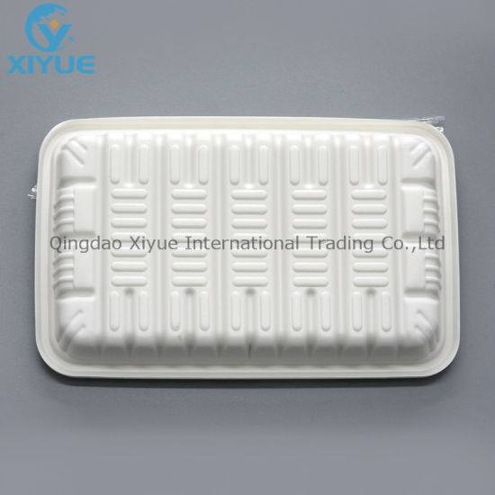 Disposable Dental Autoclavable Plastic PP Tray for Medical Instruments