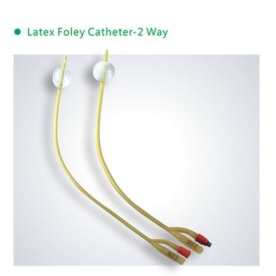 Disposable Foley Catheter with High Quality