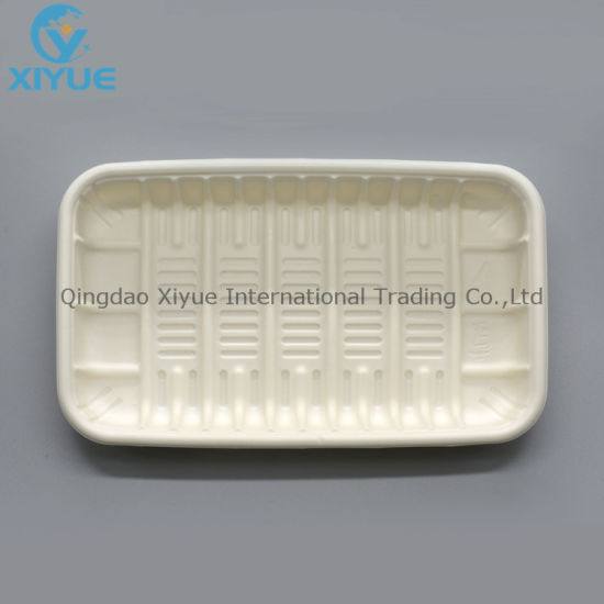 Disposable Oral Autoclavable Plastic Tray for Medical Instruments