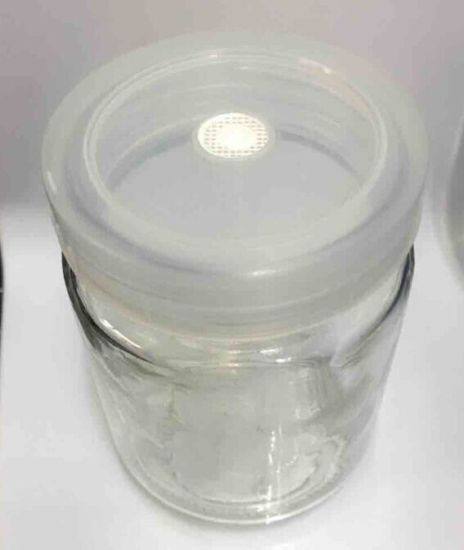 Disposable Sterile Tissue Culture Vessels