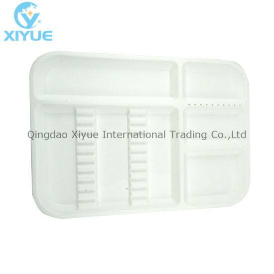 Medical Dental Clinic White PVC PP Flocking Plastic Tray