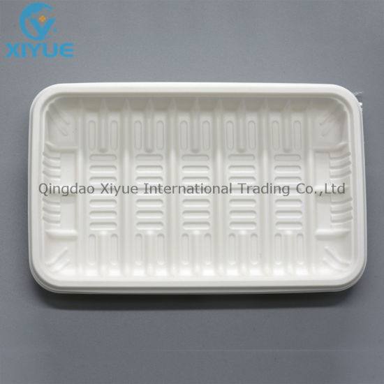 Medical Products Disposable Oral Plastic PP Care Tray Products