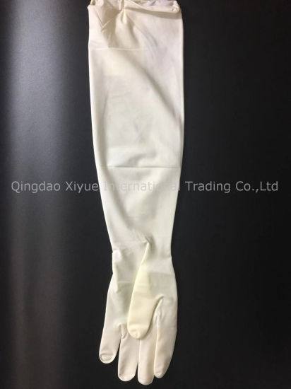 Medical Sterile Latex Powdered Gynaecological Gloves with Ce Certificate