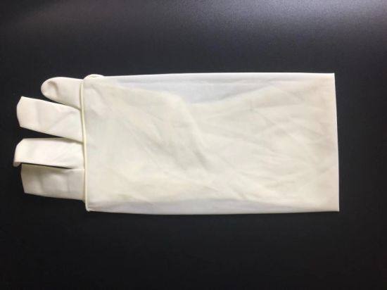 Medical Surgical Gynaecological Rubber Latex Pre-Powder Nonpowder Gloves Glove