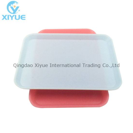 Mini Medical and Clinic Dipoisable Reusable Beauty Tray