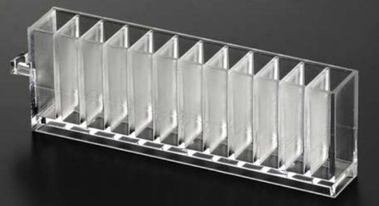 Sample Cups for Finland Cornyi