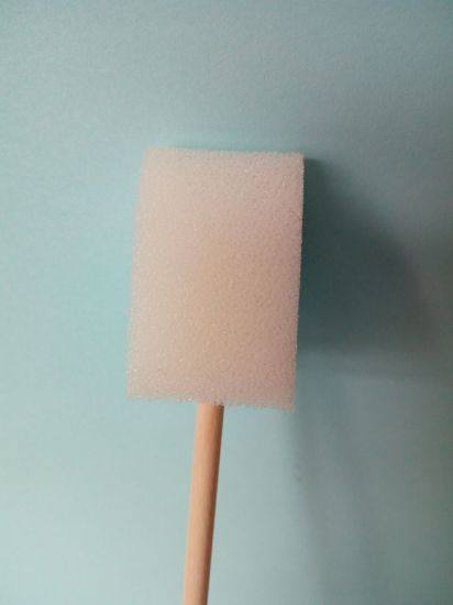 Sponge Washing Brush